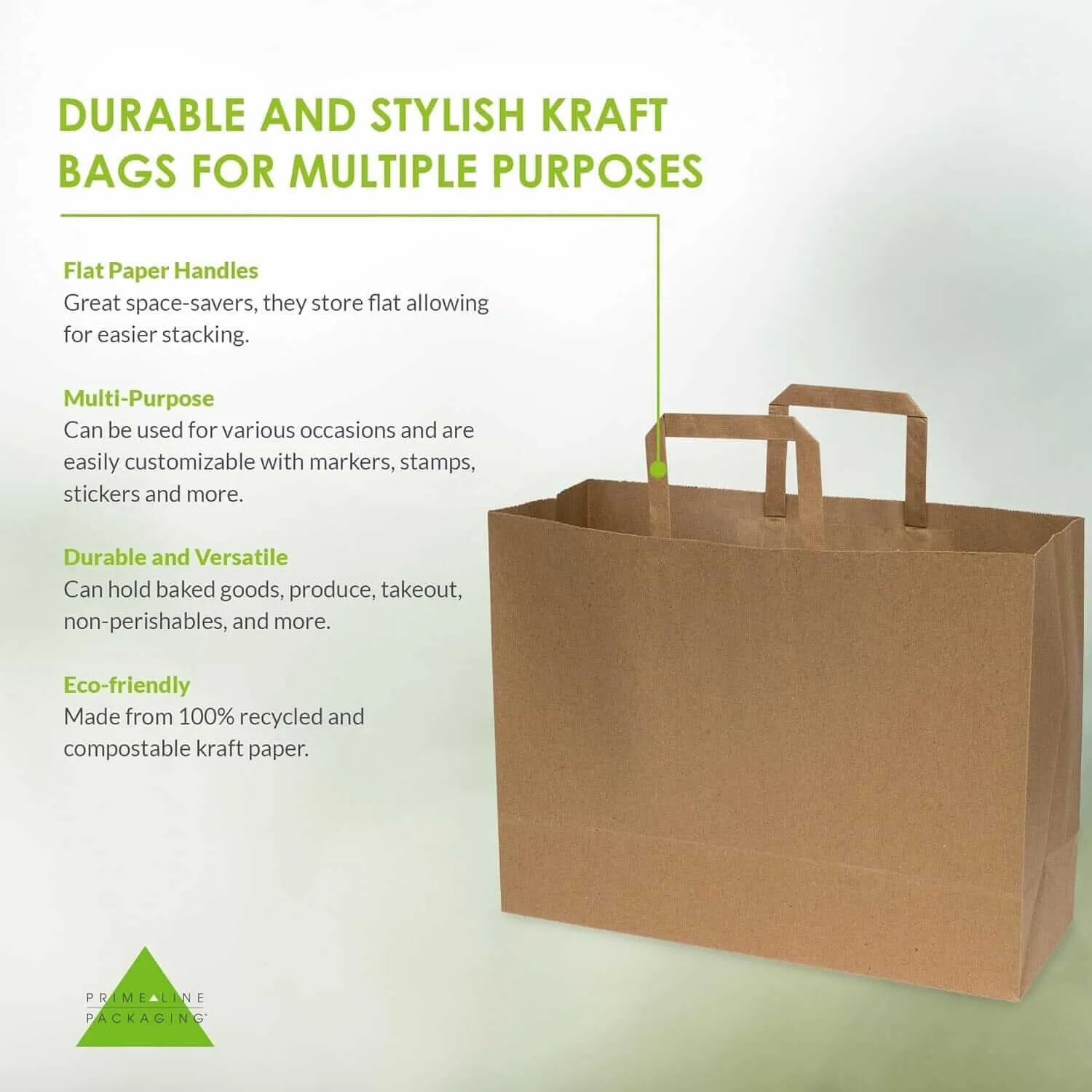 16x6x12 Large Flat Handle Paper Bags