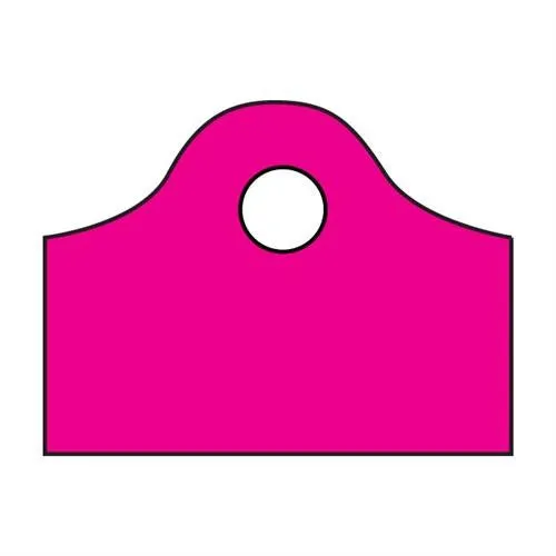 Frosted Super Wave Bags 18 x 15 x 6 - (Sizzling Pink)